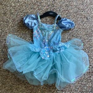 Cinderella Tutu Costume - Dance/Halloween